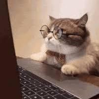 Negin Az Github - Perfect Mountain Photo - 4K