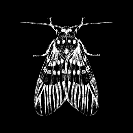 Github Entomosci Pipboy Theme Theme Inspired By The Pipboy Of - Beautiful 8K Space Textures | Free Download