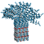 Releases Kolmogorovlab Hapdup Github - High Resolution Sunset Pictures for Desktop