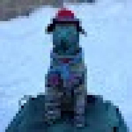 Atsuki Github - Mobile Landscape Arts for Desktop