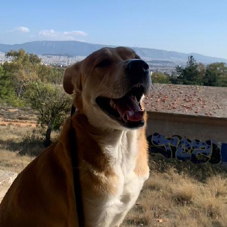 Yeferson Dev Github - 4K Vintage Designs for Desktop