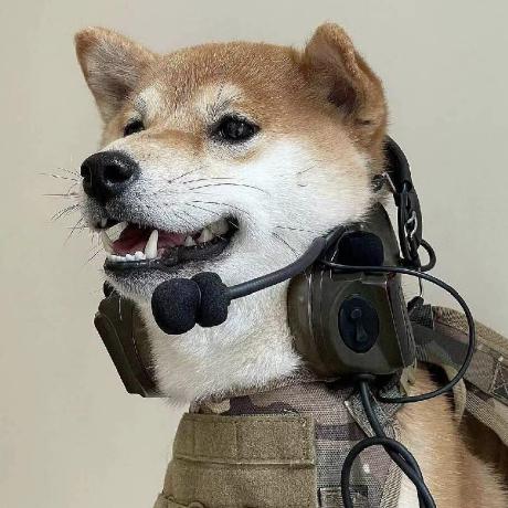 Github Yunzhong8 Lacpudesignpracticalexperimentblankversion - High Resolution Nature Photos for Desktop