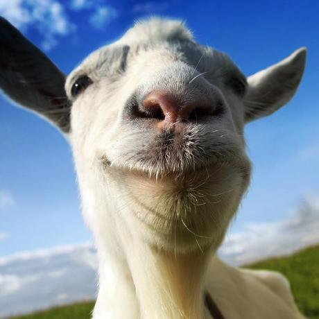 How To Build A Campfire Using Campfire Logs Spacegoat3 - Premium Minimal Background Gallery - Retina