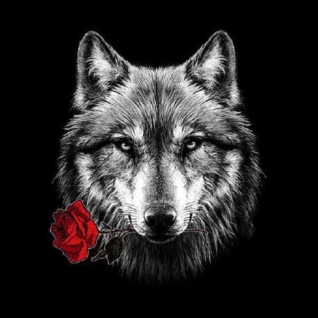 Wolf 5 The Wolf Hack Github