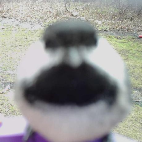 Github Jaredhammond Jaredhammond - Elegant Vintage Image - Desktop