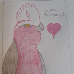 Laura Are Laura Github - Beautiful Desktop Geometric Textures | Free Download