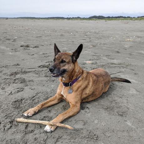 Rsaundersinfo Rob Saunders Github - Perfect Geometric Photo - Mobile