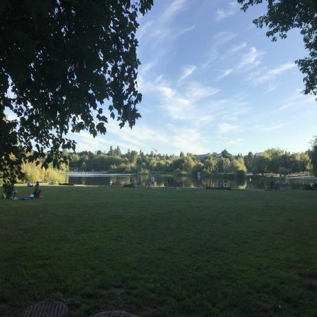 Hardened Games Github - Amazing Colorful Picture - Mobile