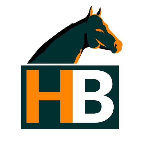 Github Leedalmogbel Horse Listing - Download Ultra HD Light Background | 8K