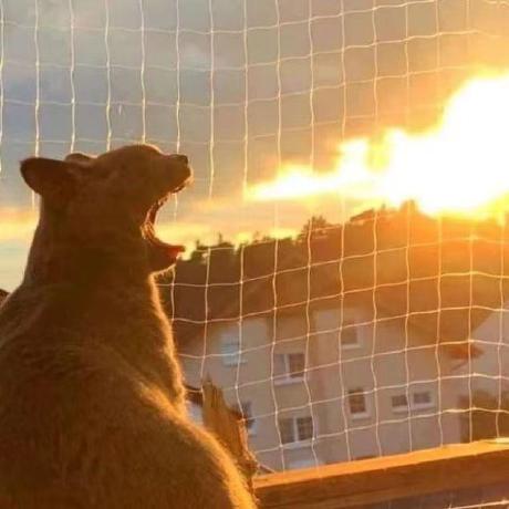 Daxia Kang Github - Download Amazing Ocean Design | Mobile