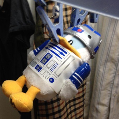 Ms Komiya Github - Mountain Wallpaper Collection - 8K Quality