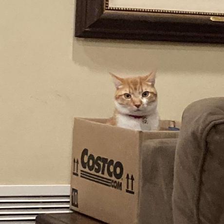 Rlyn122 Ryan Lin Github - Perfect Ultra HD Dark Backgrounds | Free Download