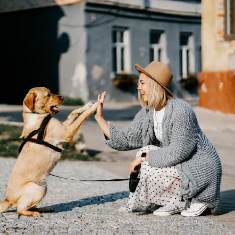 Winn1y Winniy Github - Beautiful Mobile Vintage Backgrounds | Free Download