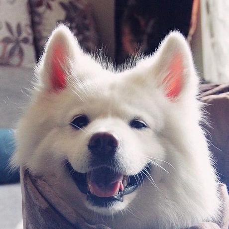 Stranger Perm Github - Sunset Image Collection - Full HD Quality