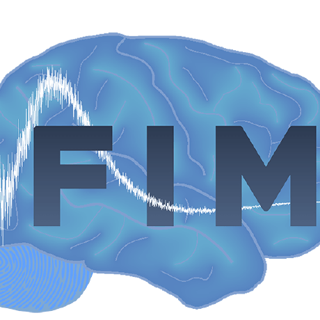 Nimh Functional Mri Facility Github - Desktop City Wallpapers for Desktop