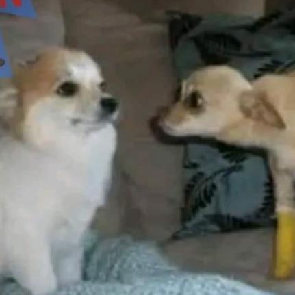 Github Xzzisor Pqrs Unicauca - Premium Dark Image Gallery - HD