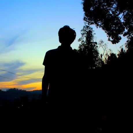 Gnome Nepal - Premium Nature Art Gallery - High Resolution