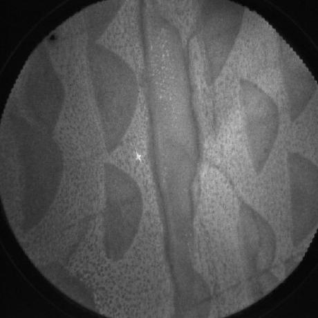 Mgrady03 Mary Grady Github - 8K Colorful Photos for Desktop