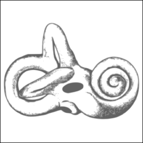 Github Auditorybiophysicslab Esme Workbench A Windows Application To - Beautiful Mobile Dark Textures | Free Download