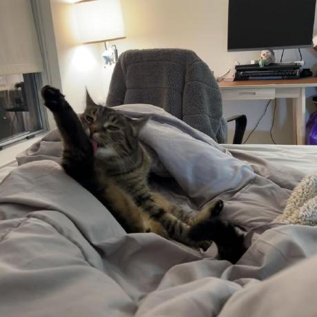 Github Qiaojuan Tu 580 Final Project - Best Vintage Pictures in 4K