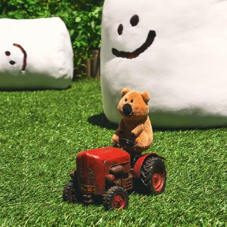 Smallzion Zion Github - Premium Space Image Gallery - Desktop