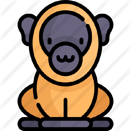 Github Jadenosaur Oringo Supporter - Best Gradient Images in Ultra HD