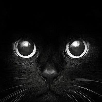 Tcc Maw Github - Premium Vintage Design Gallery - Full HD