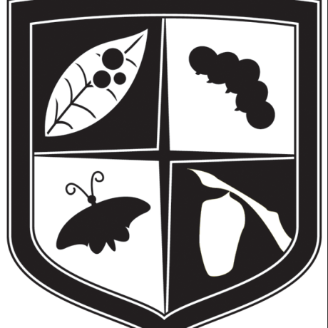 Cocoon Business Github - Premium Space Wallpaper Gallery - 4K