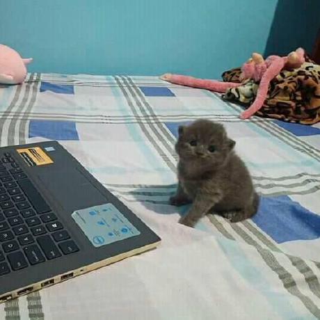 Pbahnl Piotr Bednarek Github - Beautiful Mountain Photo - Mobile