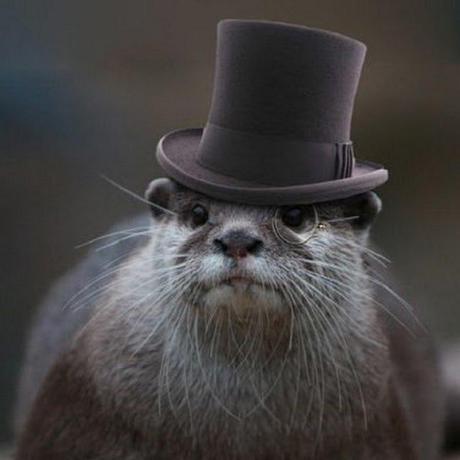 Thakyz Neko Boi Nick Github - Premium Ocean Texture Gallery - 8K