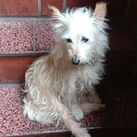 Github Jairochabr Lp Explore - Ultra HD Dark Picture - Full HD