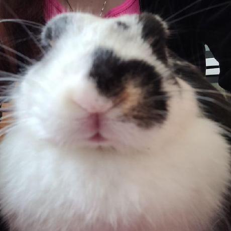 Tatiitoo Julien Github - Abstract Arts - Stunning HD Collection