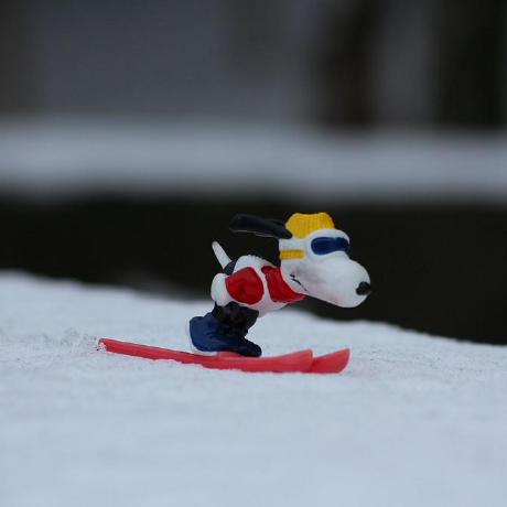 Johnheo Junghwan Heo Github - Premium Nature Image Gallery - High Resolution