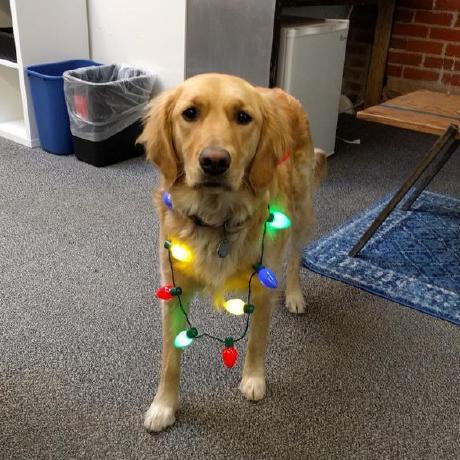 Baumer Hall Github - Sunset Wallpapers - Stunning Mobile Collection