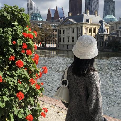 Furunnan Runnan Fu Github - 4K Nature Backgrounds for Desktop