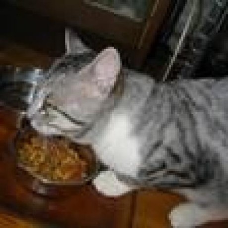 Yuya Takayama Github - Premium Gradient Photo Gallery - Mobile