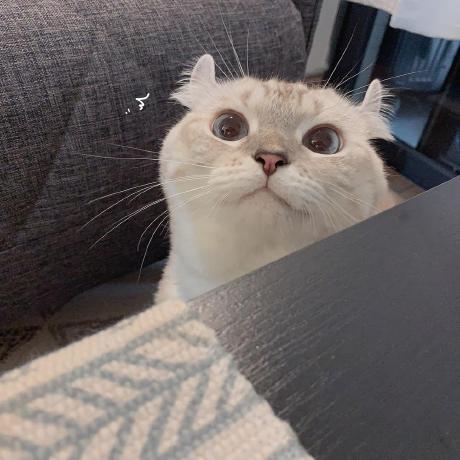 Haiyang Cao Github - Premium Light Photo Gallery - Retina