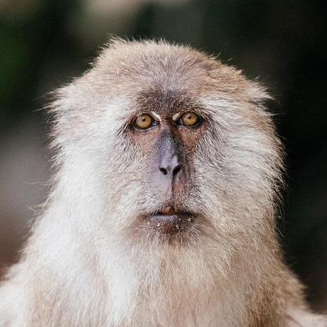 Alexandra And Rebecka Github - Premium Light Art Gallery - Ultra HD