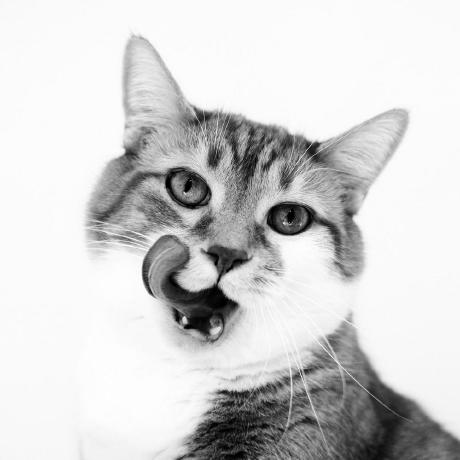 Koshak1013 Github - Amazing Landscape Illustration - Retina