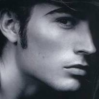 Suweller Steven Weller Github - Download Creative Nature Photo | Retina