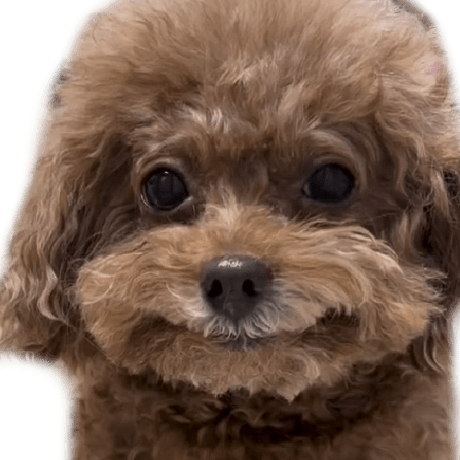 Enat Github - Beautiful Minimal Wallpaper - Retina