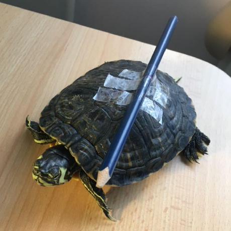 Arcanelab Zolt N Majoros Github - Gorgeous Ultra HD Geometric Illustrations | Free Download