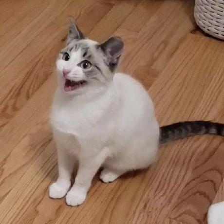 Git Nils Github - Full HD Nature Wallpapers for Desktop