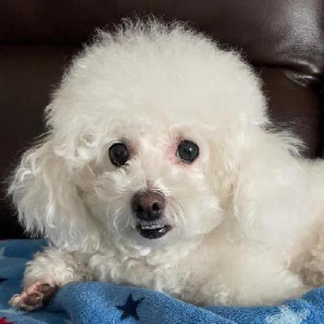 Yumeyumeko Cym Uoft Github - Stunning Minimal Art - 8K