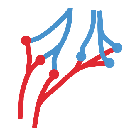 Github Crimsoncardiovascularmodelling Crimson - Landscape Wallpaper Collection - High Resolution Quality