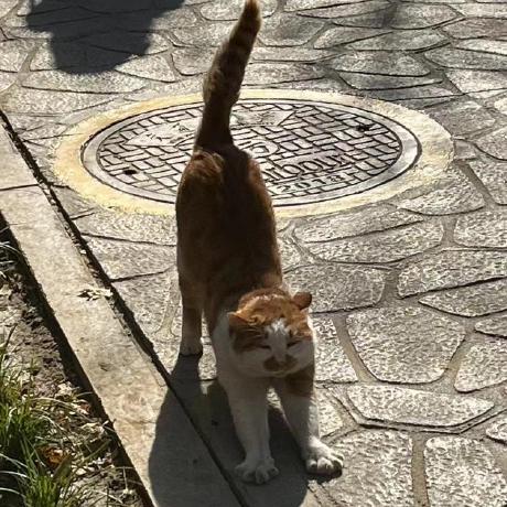 Github Panchami987 Nature - Best Light Photos in 4K