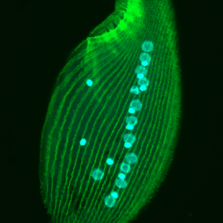 Marli Swart Github - Ultra HD Ocean Textures for Desktop