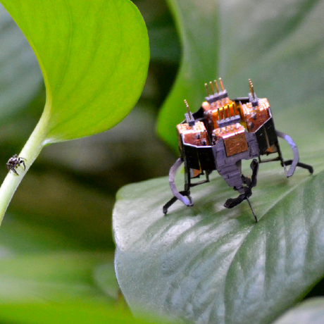 Brain Inspired Intelligent Robotics Lab Github - Sunset Image Collection - Ultra HD Quality