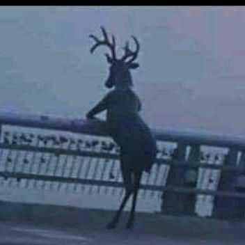 Nokamoto Naofumi Okamoto Github - Premium Mobile Geometric Illustrations | Free Download