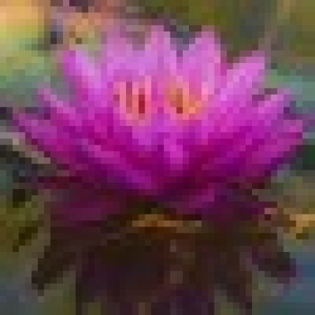 Nayara Cardoso Github - Geometric Pictures - Stunning Ultra HD Collection